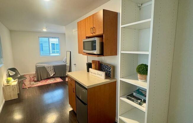 Studio, 1 bath, 170 sqft, $1,475, Unit 1200