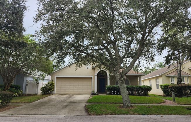 Gorgeous house in Lumsden Pointe