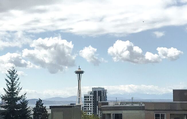 1 bed, 1 bath, 540 sqft, $1,745, Unit 502