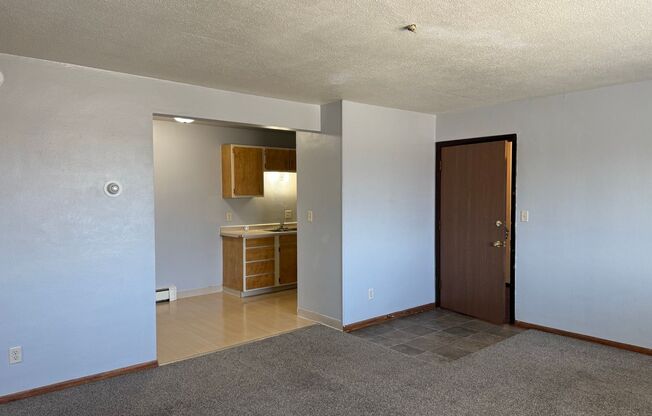 1 bed, 1 bath, 465 sqft, $625, Unit 1119-312