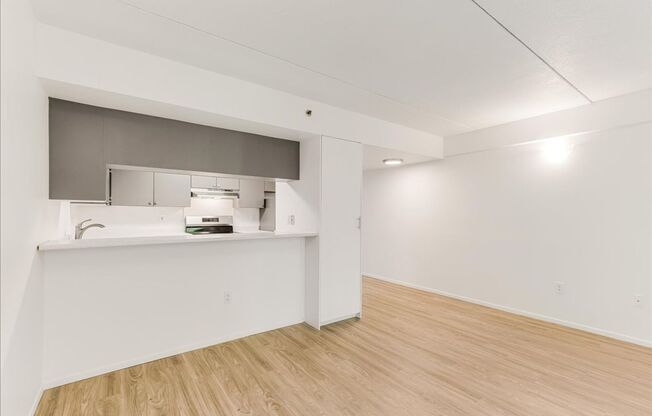 1 bed, 1 bath, 491 sqft, $1,375, Unit 403