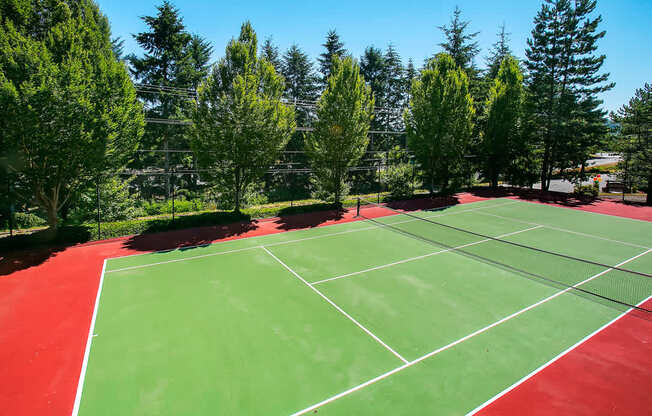 A tennis court with red and green surface surrounded by trees.