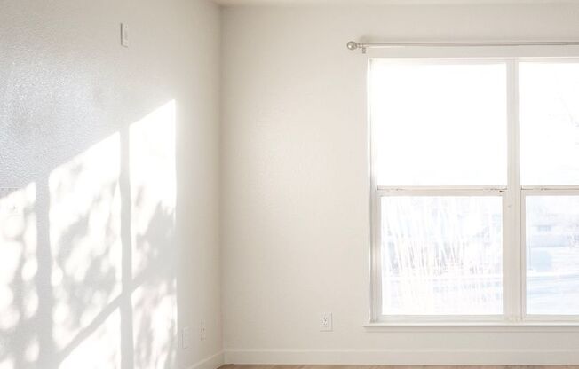 2 beds, 1 bath, 821 sqft, $1,625, Unit 2D