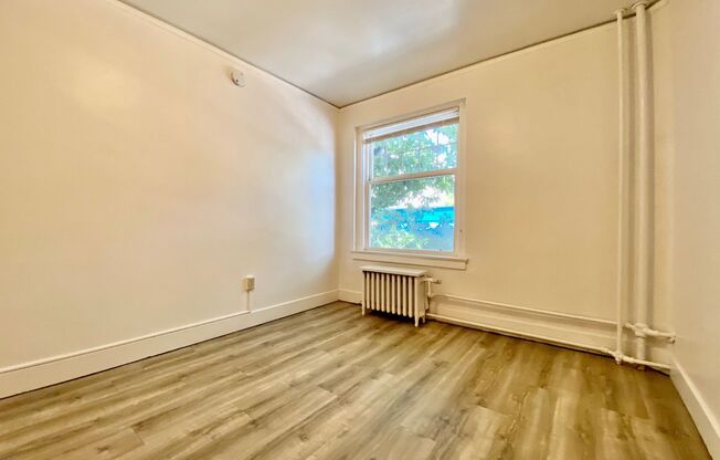 1 bed, 1 bath, 335 sqft, $1,350, Unit 207