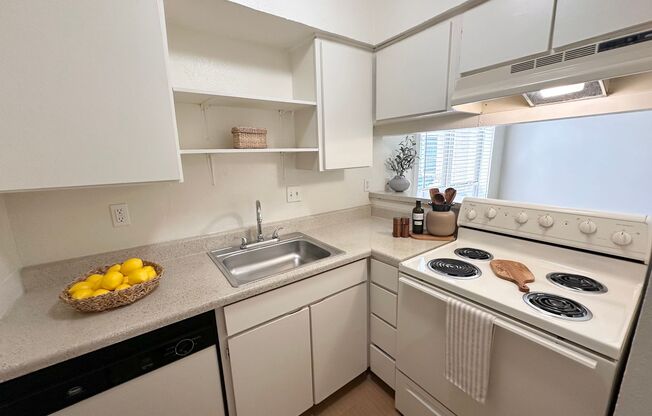 1 bed, 1 bath, 540 sqft, $1,199, Unit OPA-172