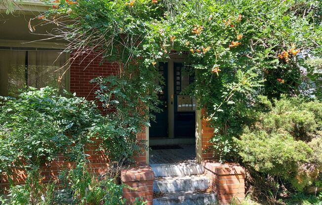 1 bed, 1 bath, 300 sqft, $975, Unit Unit 3 (115 N Sherman St)