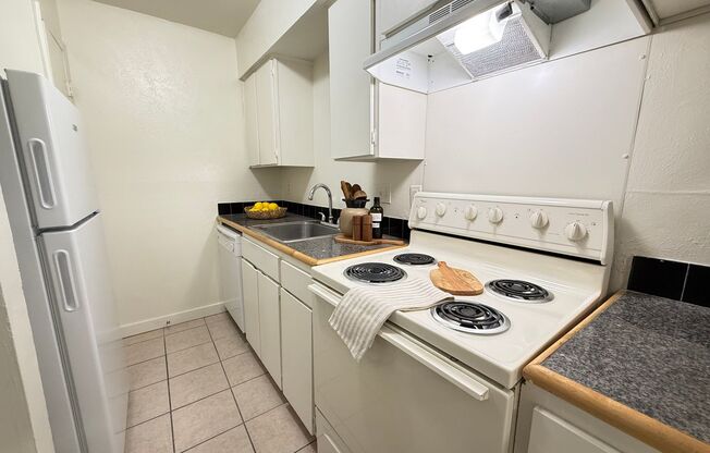 1 bed, 1 bath, 570 sqft, $1,249, Unit OPA-151