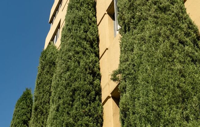 1 bed, 1 bath, 550 sqft, $1,400, Unit 105