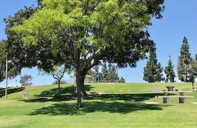 Enjoy the location and layout of this 2 BR, 1.5 BA at Gold Creek Townhomes.