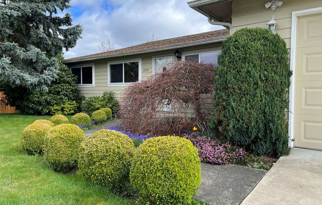 Well maintained 4 BD 1.75 BA Home with Genuine Hardwood Floors & Private Fully Fenced Backyard
