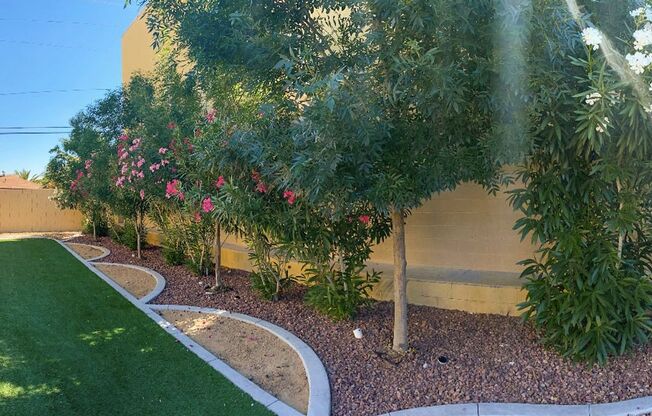 Studio, 1 bath, 390 sqft, $900