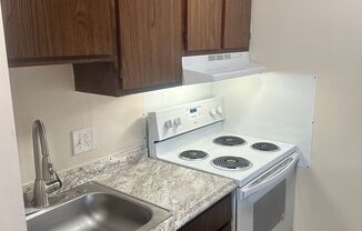 Studio, 1 bath, 460 sqft, $900, Unit 210N