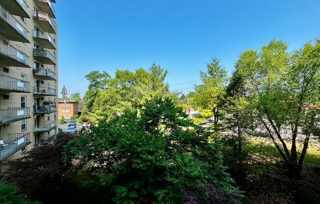 2 beds, 2 baths, 1,075 sqft, $1,575, Unit 506