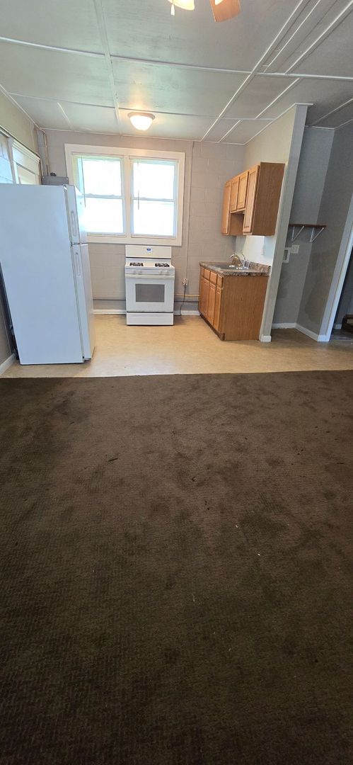 Spacious 1 bed with Storage Shed!