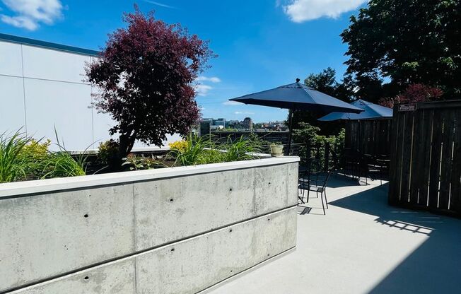 Studio, 1 bath, 483 sqft, $1,450, Unit 308