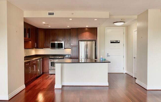 Beautiful 1 BR plus den 2 BA luxury condo on 17th floor. Walk to Metro and all amenities