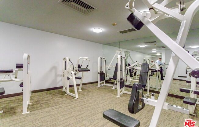 2 beds, 2 baths, 1,172 sqft, $4,550, Unit 1105