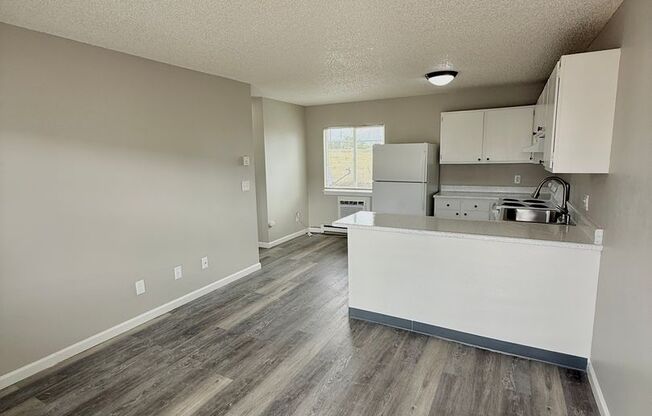 1 bed, 1 bath, 447 sqft, $899, Unit Unit E