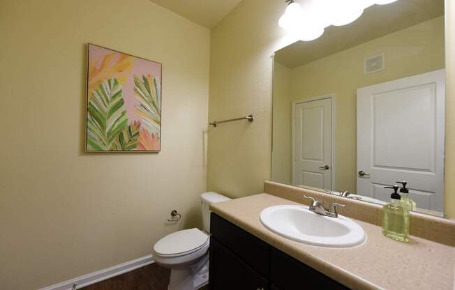 A bathroom with a toilet, sink, mirror, and a painting on the wall.