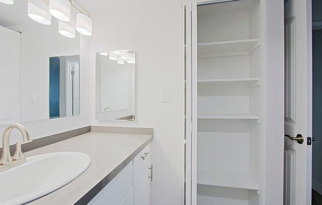 a bathroom with a sink and a mirror and a closet