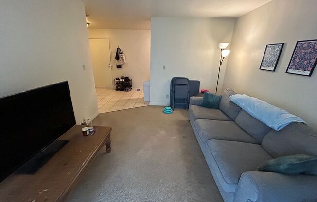 1 bed, 1 bath, $850, Unit 113
