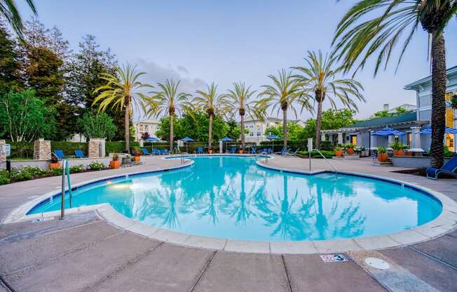 Resort-Style Pool with Tanning Ledge at The Estates at Park Place, California, 94538