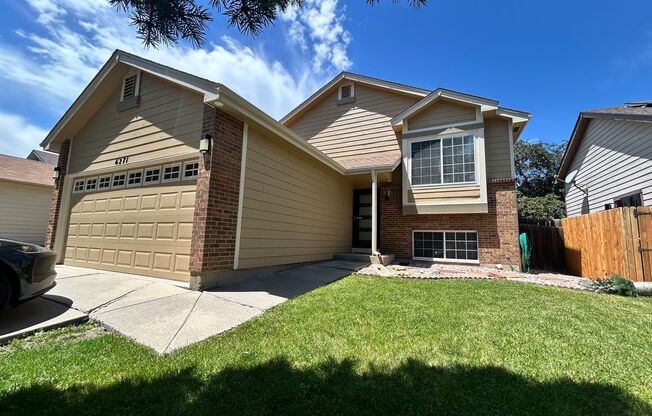 Modern 4 Bedroom House in Arvada