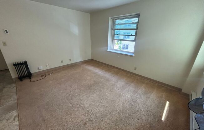 1 bed, 1 bath, $875, Unit 305