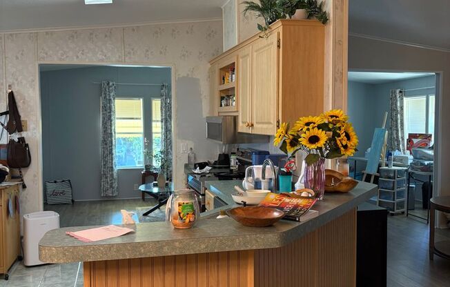 55+ gated Mobile home community