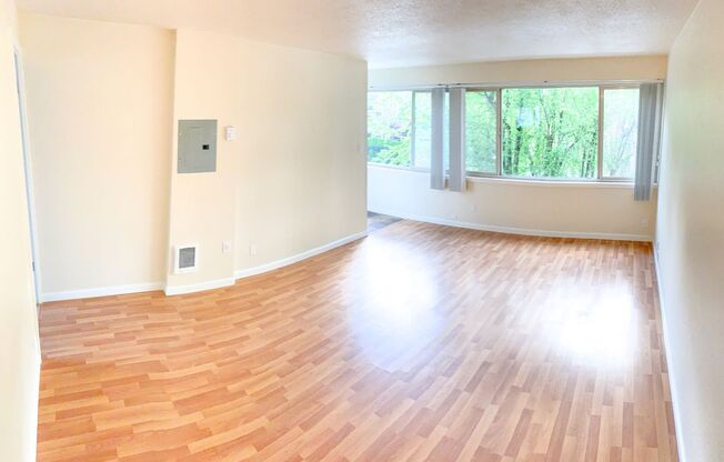 1 bed, 1 bath, 560 sqft, $1,650, Unit 103