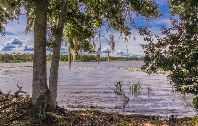 Metrowest Condo at The Hamptons, Orlando