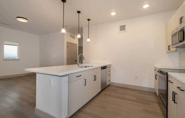 Kitchen and Living Area with Hard Surface Flooring