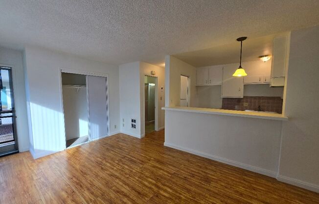 Studio, 1 bath, 470 sqft, $1,695, Unit 1