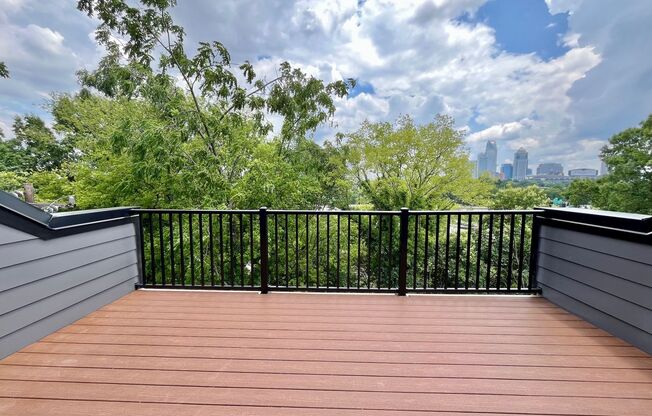 LUXURY Rooftop Terrace Townhome