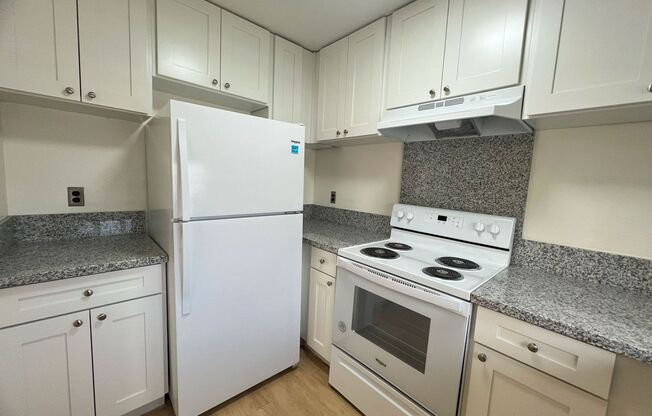 1512 Halekula Way #303