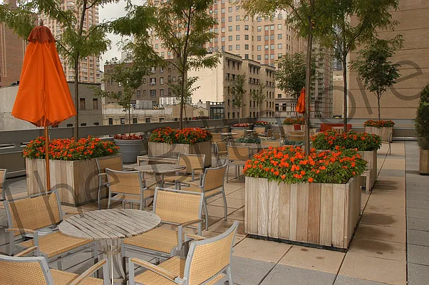 Studio, 1 bath, $6,080, Unit 46G