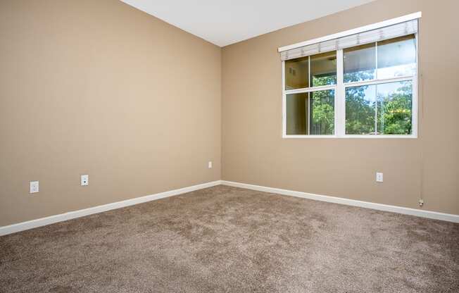 a bedroom with carpet and a large window