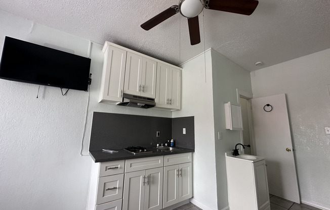 Studio, 1 bath, 132 sqft, $1,054.17, Unit 308
