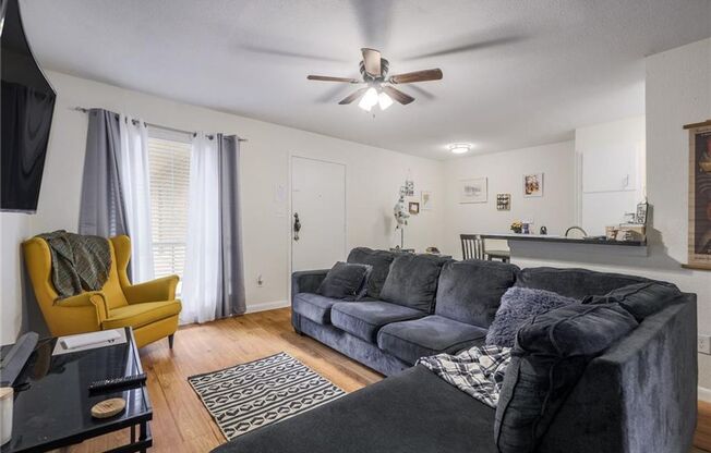 West Campus 1-Bedroom Condo Near UT Law School