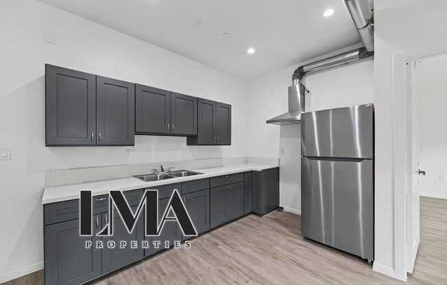 Studio, 1 bath, 500 sqft, $1,238, Unit 206