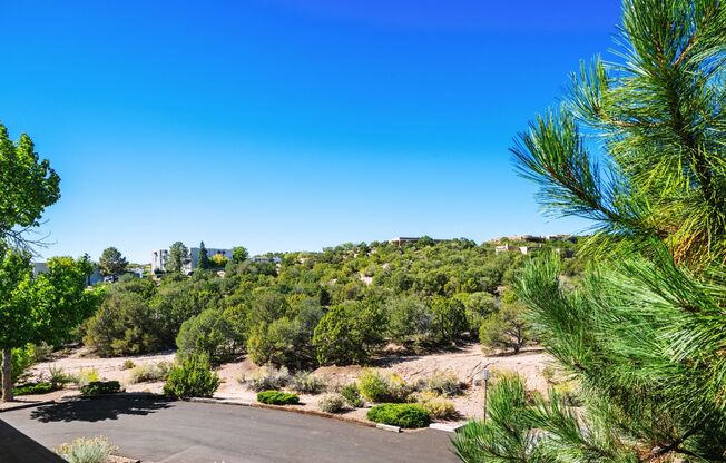 1 bed, 1 bath, 582 sqft, $1,300, Unit Unit 326