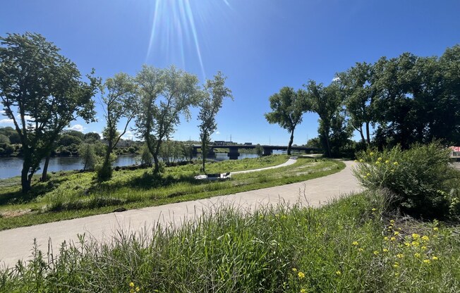 a path through a park next to a river