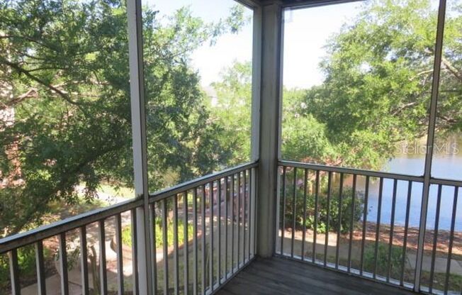 4115 Chatham Oak Ct #211, Tampa, FL 33624