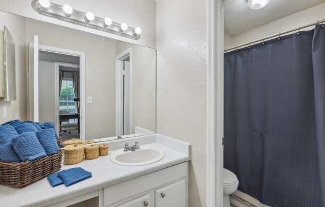 a bathroom with a sink and a shower and a mirror