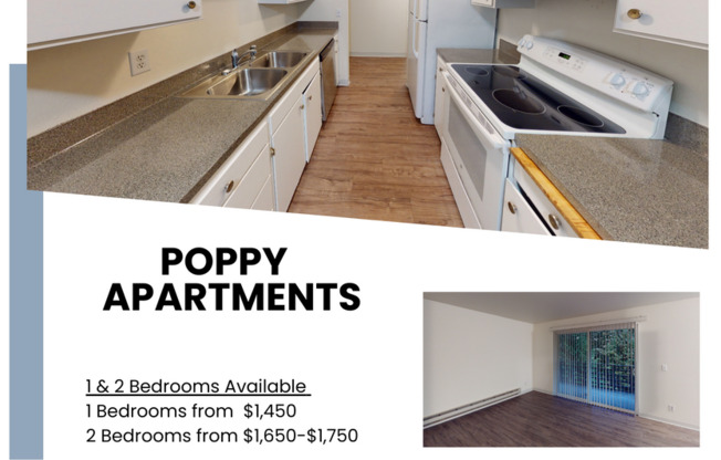 Poppy Apartments