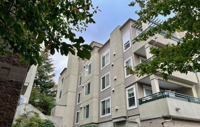 1 bed, 1 bath, $2,400