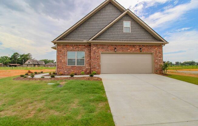Brand NEW Home in Lucas Ferry Farms!