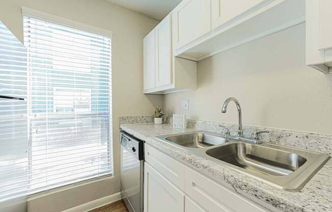 kitchen sink in north houston apartments