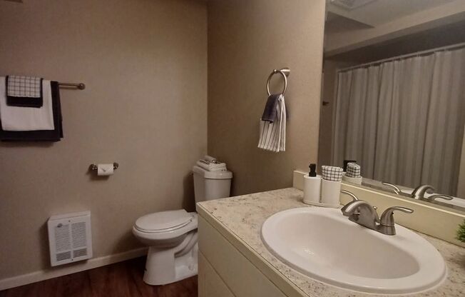 Studio, 1 bath, 550 sqft, $1,395