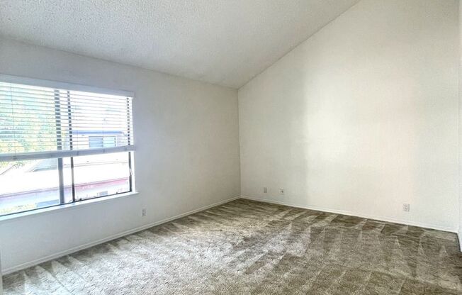 1 bed, 1 bath, $2,000